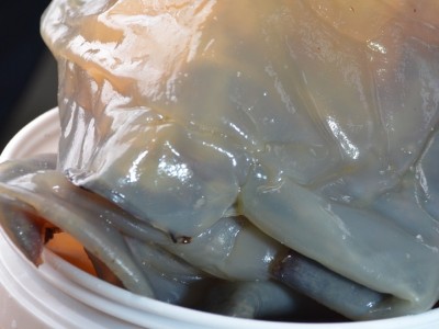 渤海绵蜇皮红海蜇皮海蜇青皮鲜脆爽口盐渍海蜇非即食批发净重5斤图3