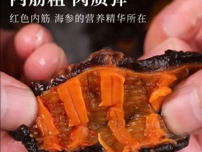 即食海参礼盒工厂代发冰岛即食红极参厂家批发即食海参500g/袋图4