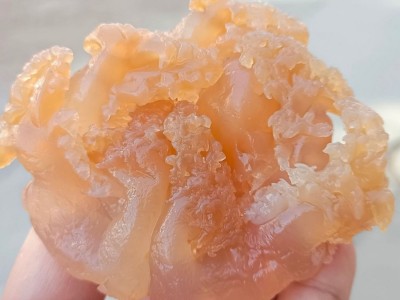 红色印尼海蜇头非即食海蜇凉拌菜桶装盐渍海蜇头整桶批发净重5斤图3