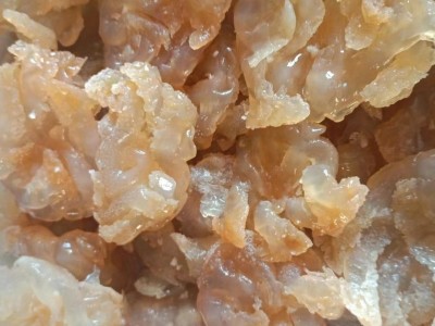 红色印尼海蜇头非即食海蜇凉拌菜桶装盐渍海蜇头整桶批发净重5斤图4
