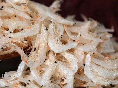 白虾皮批发淡干虾皮仁磷虾50g海鲜水产干货源头厂家批发一件代发图2