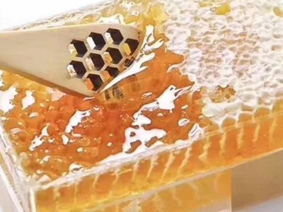 蜂巢蜜 蜂窝土蜂蜜老蜂巢蜂巢蜂蜜500g 包邮图2