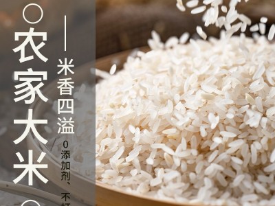 厂家直供批发1.2桂林干米粉螺丝粉炒米粉干制江西干米线米粉柳州图3