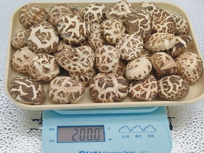 湖北随州特产白花菇干货500g商用干香菇冬菇营养菌菇蘑菇批发图2