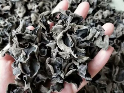 厂家货源农家黑木耳 无根肉厚木耳 椴木干木耳食用菌干货批发图4