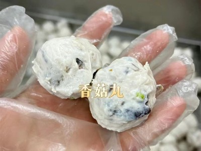 潮汕香菇猪肉丸 关东煮打边炉麻辣烫火锅食材 源头工厂批发 代发图2