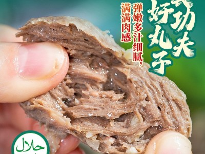 牛肉丸牛筋丸子火锅烧烤串串 潮汕牛肉丸250g 清真认证 代发图3