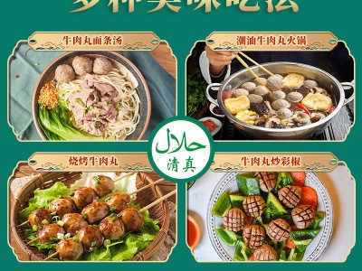 牛肉丸牛筋丸子火锅烧烤串串 潮汕牛肉丸250g 清真认证 代发图2