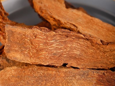 【锁阳】新疆锁阳个批发大漠双雄锁阳片泡酒料中药材大货供应图3