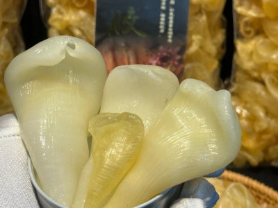 珍珠胶鱼胶 深海鲈鱼胶鸡蛋胶孕妇坐月子滋补品花胶海味干 货批发图4
