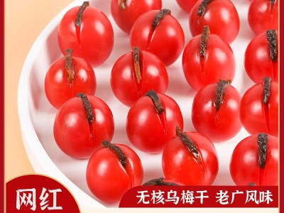 乌梅条西红柿圣女果番茄夹乌梅干肉蜜饯果脯非西梅网红酸甜零食图4