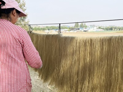 农家红薯粉条批发酸辣粉火锅干食材地瓜粗粉山 芋粉丝 细粉 粉条图4