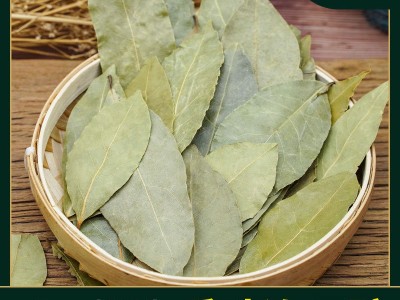 香叶产地货源现货批发优选大片特绿月桂叶增味提香炖肉调味香辛料图5