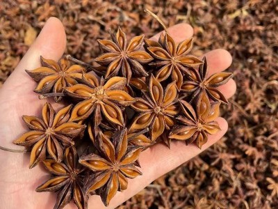 调味香料批发广西大红八角全干无硫干货农家自产八角卤料调料500g图2