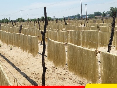 【正品】仙丰斋葛根粉条500g袋装山东手工老桨火锅粉电视购物同款图4