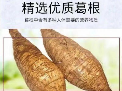 250克葛根粉条批发农家特产批发厂家直销一件代发图2