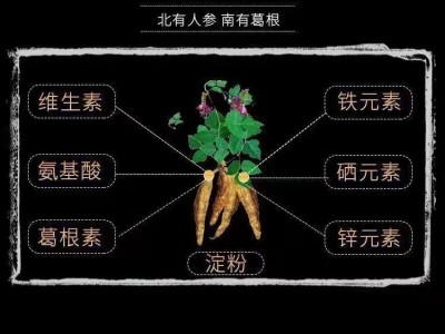 250克葛根粉条批发农家特产批发厂家直销一件代发图2