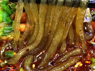 正宗纯红薯粉条 粉丝 宽粉 酸辣粉纯手工火锅批发一件发图3