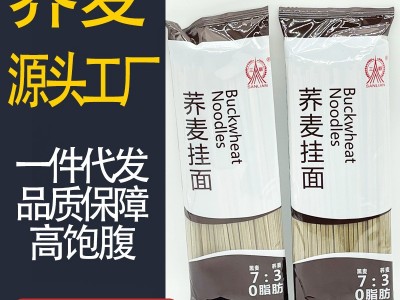 批发多种荞麦面条挂面 龙须低脂肪代餐粗杂粮面 黑麦苦荞面挂面图5