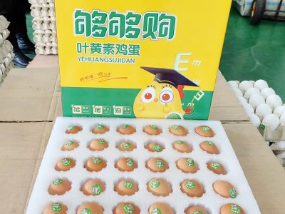够够购叶黄素鸡蛋新鲜有码营养丰富保护眼睛好视力吃出来批发直供图3