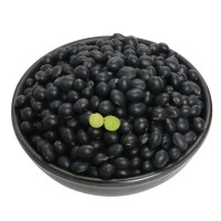 批发绿芯黑豆1斤生黑豆黑豆磨豆浆的原料五谷杂粮青仁大豆新货