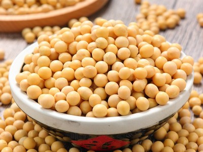 23年黄豆新货东北大豆农家自种土黄豆榨豆浆发豆芽五谷杂粮粗粮批图4