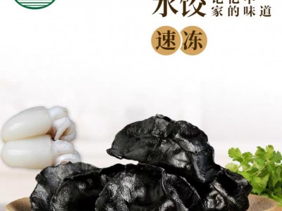 鲁海 墨鱼水饺 500g 海鲜水饺速冻手工 早餐水饺 煎饺水饺蒸饺图3