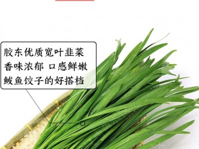 速冻饺子批发冻饺子成品韭菜鸡蛋素三鲜饺子源头工厂商用手工水饺图2