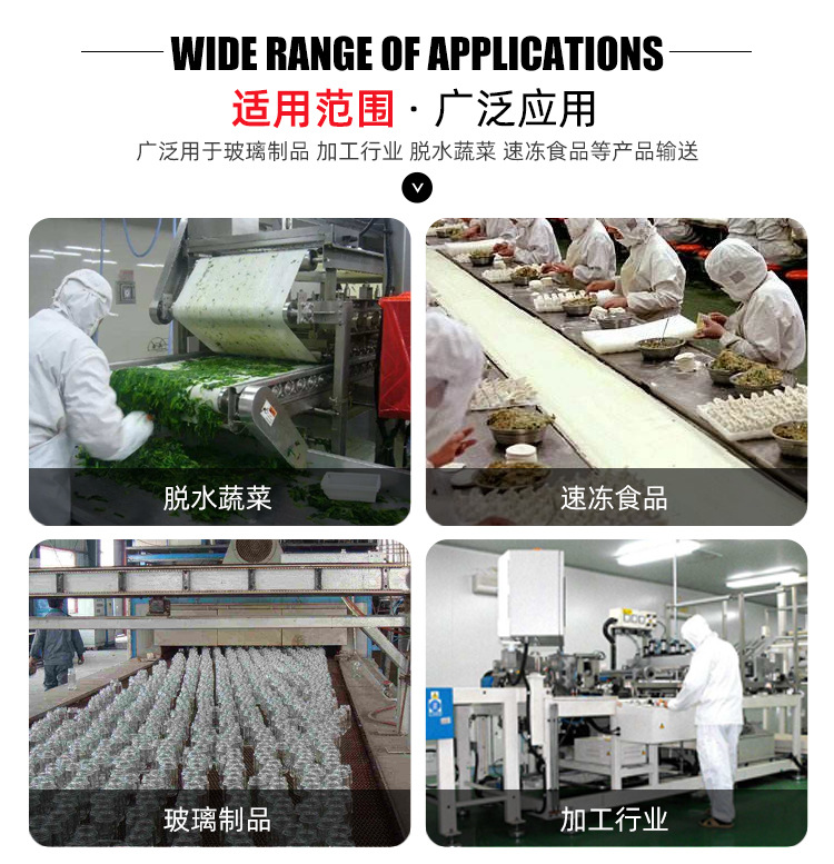 网带输送机_02.jpg