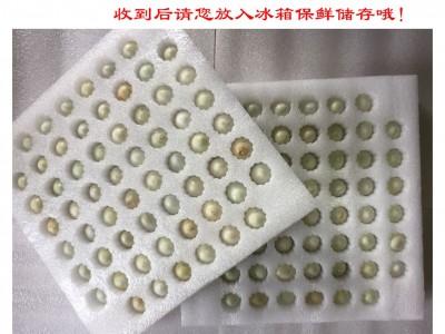 120枚包邮 装工艺松花鹌鹑皮蛋松花鹌鹑皮蛋小皮蛋鹌鹑蛋商用家用图4