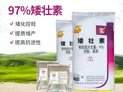 全丰科技 矮壮素97%原药 矮化控旺调节剂 CCC 25kg/袋 厂家直销图5