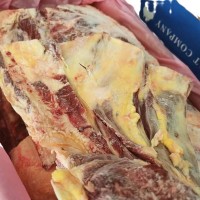 澳洲进口冻牛肉草饲牛胸肉骨 未腌制生鲜肉 牛排骨整箱整条批发