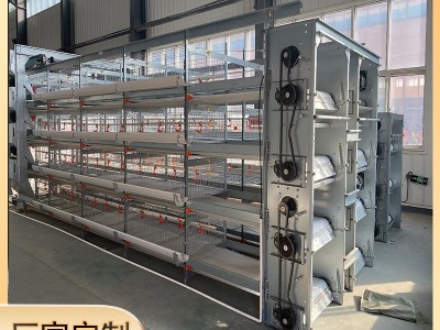 生产厂家全自动肉鸡笼镀锌肉鸡笼鸡笼子大型鸡场自动化养殖设备图3