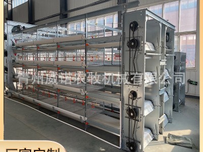 自动化肉鸡笼 框架式养鸡设备蛋鸡笼整套肉鸡笼养殖设备图2