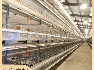 自动化肉鸡笼 框架式养鸡设备蛋鸡笼整套肉鸡笼养殖设备图4
