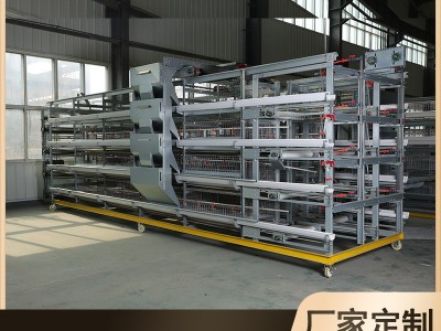 自动化肉鸡笼 框架式养鸡设备蛋鸡笼整套肉鸡笼养殖设备图5