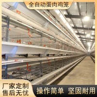 大层叠肉鸡笼养鸡设备加密加粗全自动化养殖笼具热镀锌蛋鸡笼