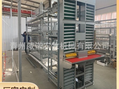 大层叠肉鸡笼养鸡设备加密加粗全自动化养殖笼具热镀锌蛋鸡笼图4
