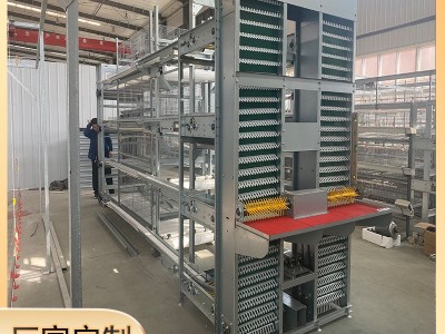 全自动鸡场养殖肉蛋鸡笼框架层叠式三层四层自动喂料肉鸡笼子全套图2