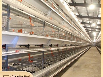 全自动鸡场养殖肉蛋鸡笼框架层叠式三层四层自动喂料肉鸡笼子全套图4