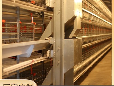 全自动鸡场养殖肉蛋鸡笼框架层叠式三层四层自动喂料肉鸡笼子全套图5