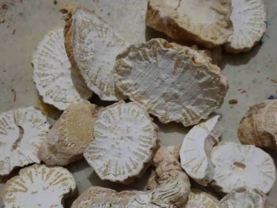 中药材陆茸片一斤价格 陆茸片的功效图2