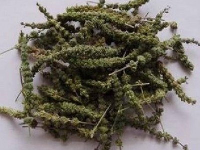 中药材批发荆芥穗 荆芥穗的价格图3