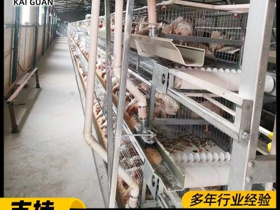 框架蛋鸡笼工业化养殖设备全自动化畜牧饲养机械热镀锌立体养鸡笼图4