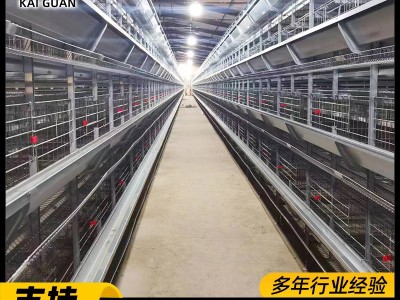 框架蛋鸡笼工业化养殖设备全自动化畜牧饲养机械热镀锌立体养鸡笼图5