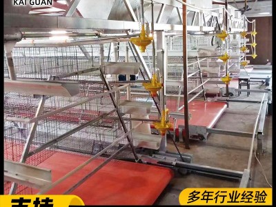 立体三层阶梯式蛋鸡笼全自动蛋鸡养殖笼子组合阶梯式蛋鸡笼子全套图4