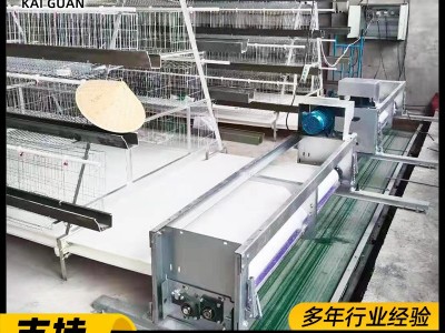 立体三层阶梯式蛋鸡笼全自动蛋鸡养殖笼子组合阶梯式蛋鸡笼子全套图3
