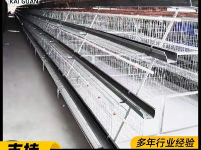立体三层阶梯式蛋鸡笼全自动蛋鸡养殖笼子组合阶梯式蛋鸡笼子全套图2
