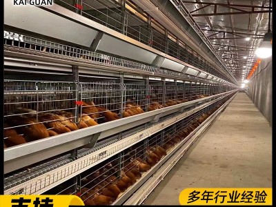 框架蛋鸡笼厂家养殖场层叠式鸡笼子H型鸡笼工业自动化养鸡设备图4