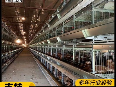 框架蛋鸡笼厂家养殖场层叠式鸡笼子H型鸡笼工业自动化养鸡设备图5